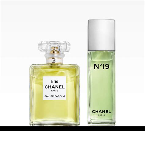 chanel n 19 100ml|Chanel no 19 perfume price.